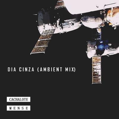 Dia Cinza (Ambent Mix)'s cover