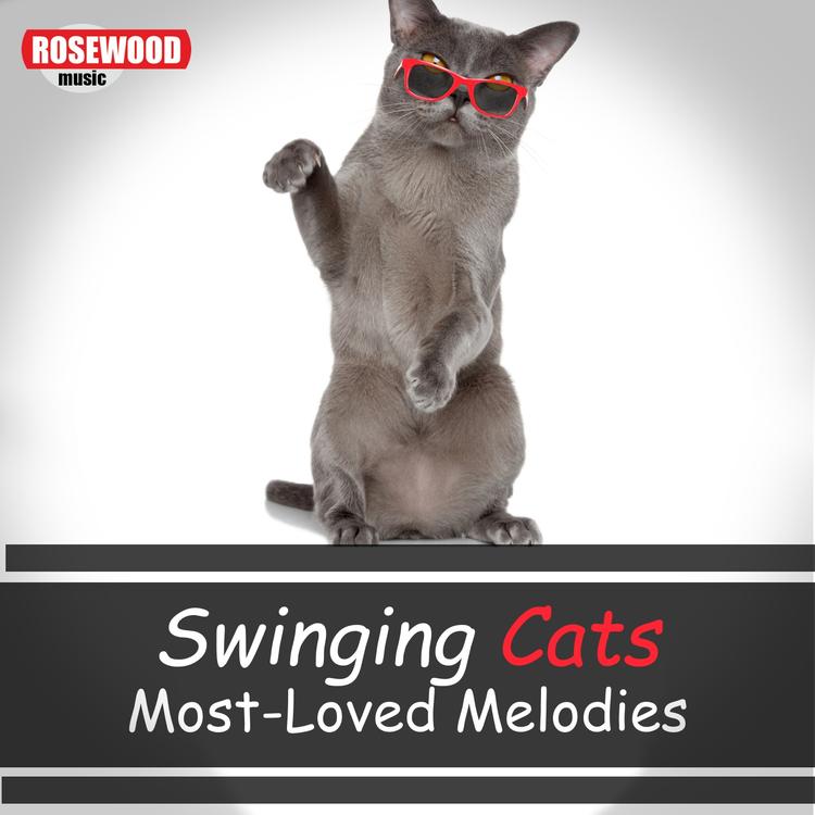 Swinging Cats's avatar image
