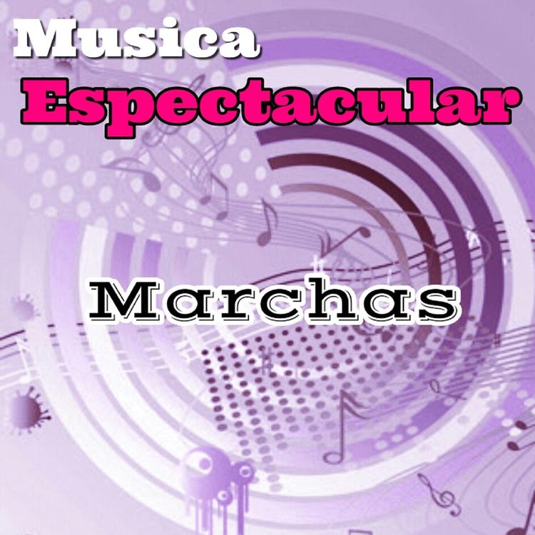 Orquesta de la plata's avatar image