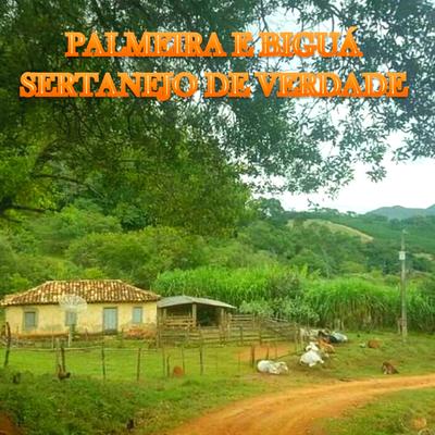 Nelore Valente By Palmeira e Biguá's cover