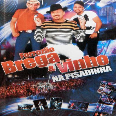 Forrozão Braga & Vinho's cover