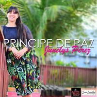 Junelys Pérez's avatar cover