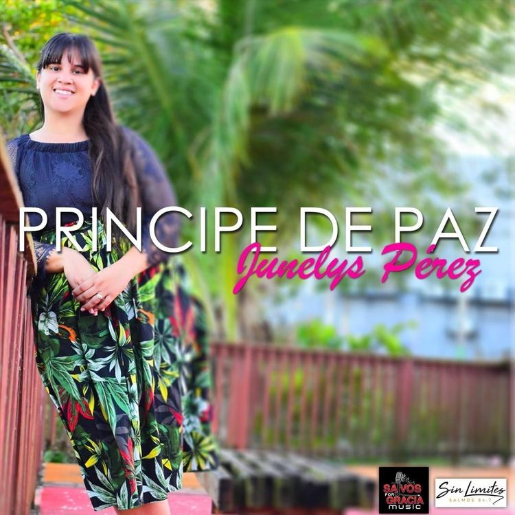 Junelys Pérez's avatar image