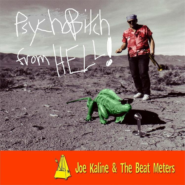 Joe Kaline and the Beat Meters's avatar image