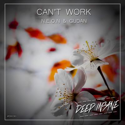 Can't Work (Original Mix)'s cover