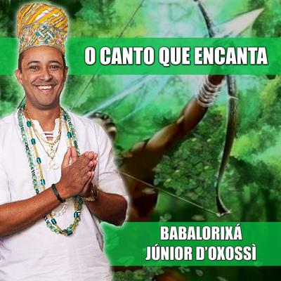 Babalorixá Júnior D'Oxossì's cover