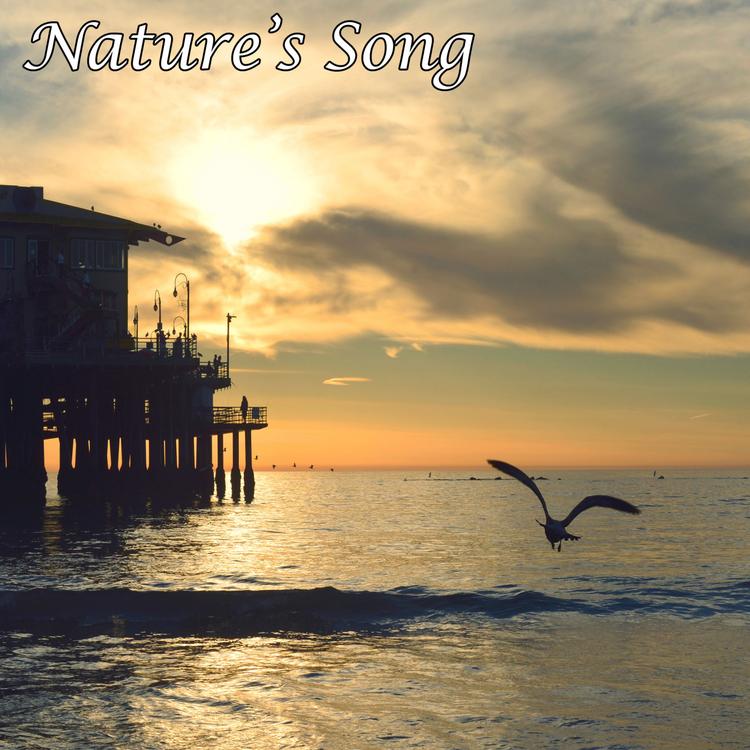Nature's Song's avatar image