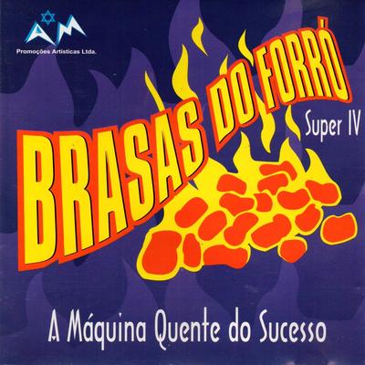 Nóis Não Vive Sem Muié By Brasas Do Forró's cover