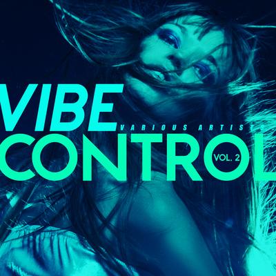 Vibe Control, Vol. 2's cover