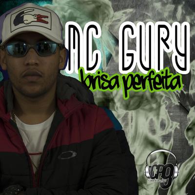 Brisa Perfeita By MC Gury's cover