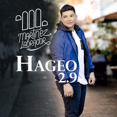Hageo 2. 9's cover
