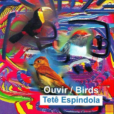 Ouvir / Birds's cover