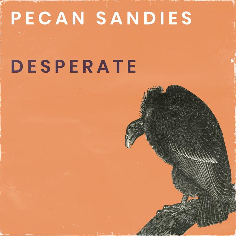 Pecan Sandies's avatar image