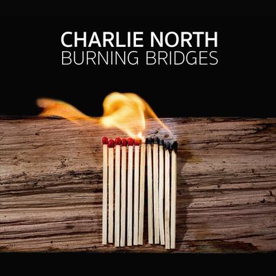 Never (Means Forever) By Charlie North's cover