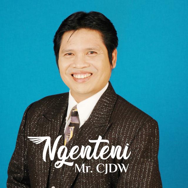 Mr.Cjdw's avatar image