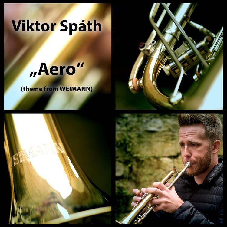 Viktor Spáth's avatar image