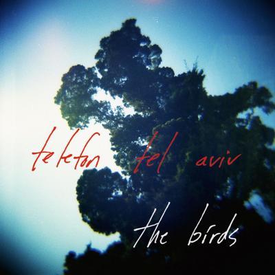 The Birds (Ellen Allien Remix) By Telefon Tel Aviv, Ellen Allien's cover