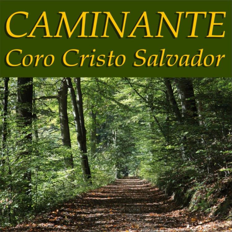 Coro Cristo Salvador's avatar image
