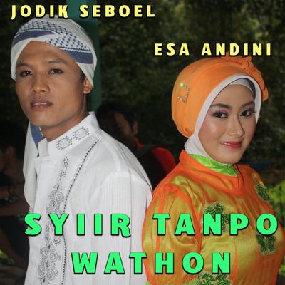 Esa Andini's cover