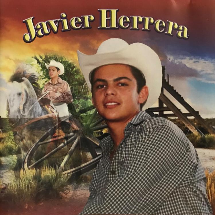 Javier Herrera's avatar image