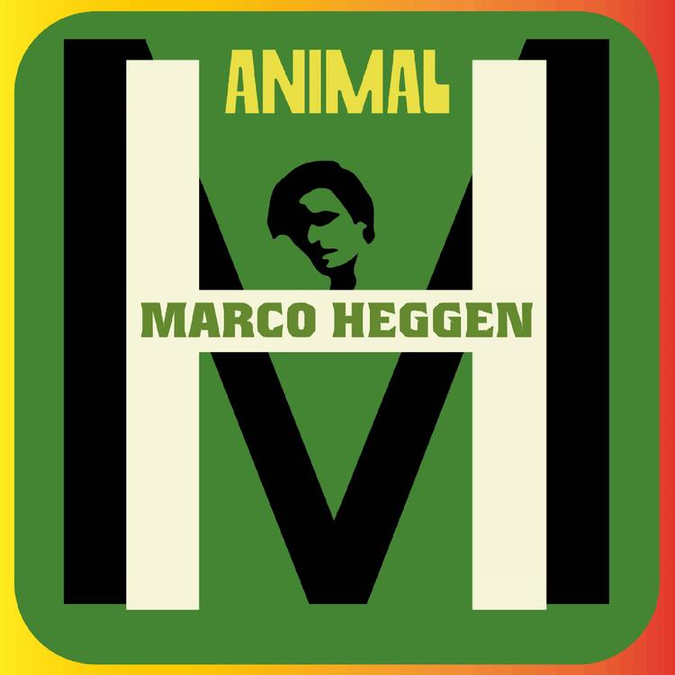 Marco Heggen's avatar image