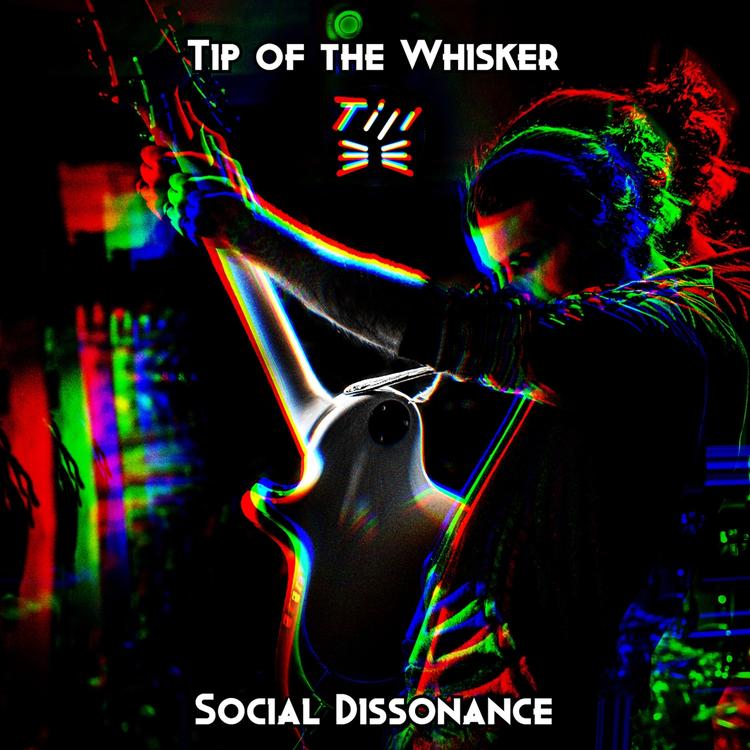 Tip of the Whisker's avatar image