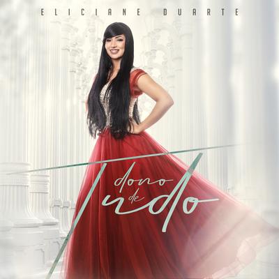 Dono de Tudo By Eliciane Duarte's cover