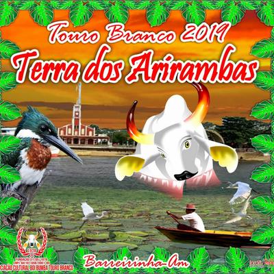 Boi Bumbá Touro Branco's cover
