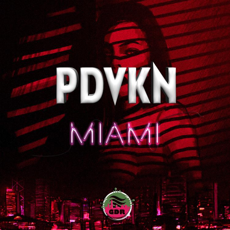 PDVKN's avatar image