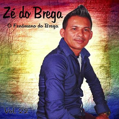 Amei Demais By Zé do Brega's cover