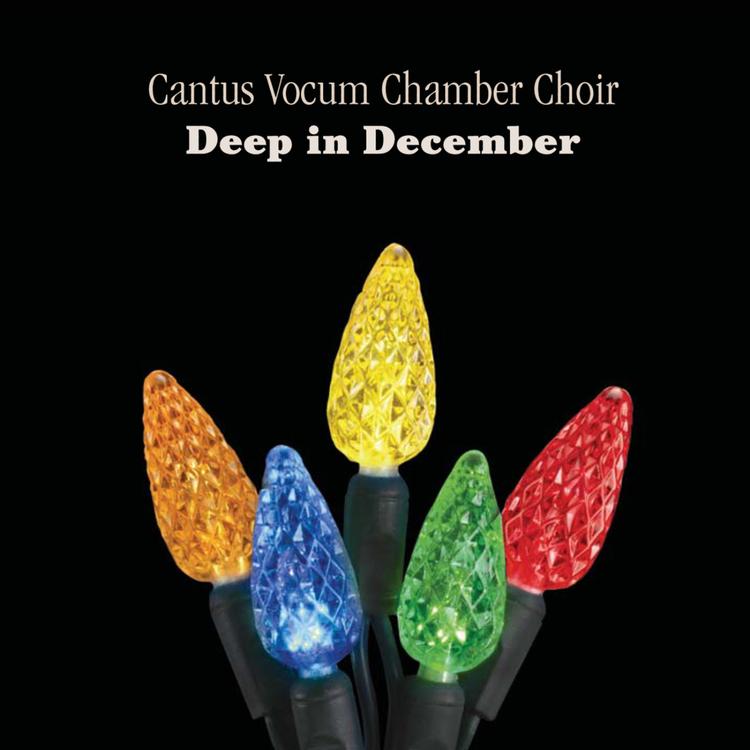 Cantus Vocum Chamber Choir's avatar image