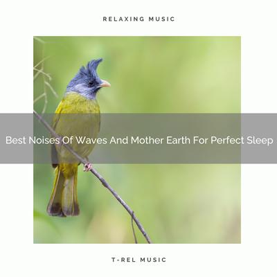 Best Noises Of Waves And Mother Earth For Perfect Sleep's cover