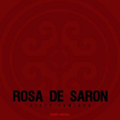 Without You By Rosa de Saron's cover