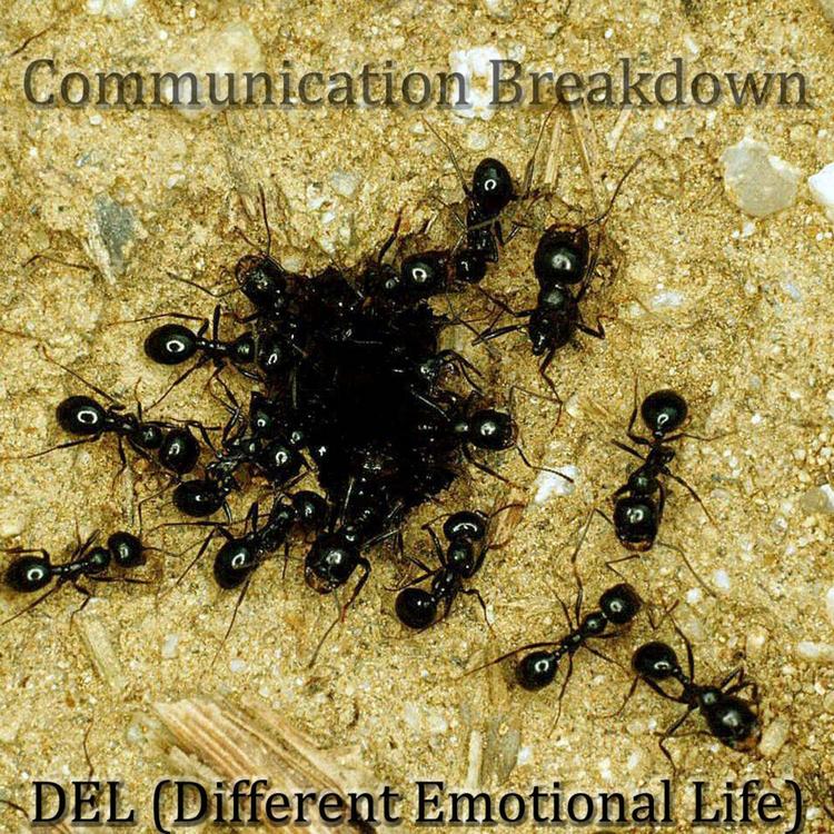 DEL (Different Emotional Life)'s avatar image