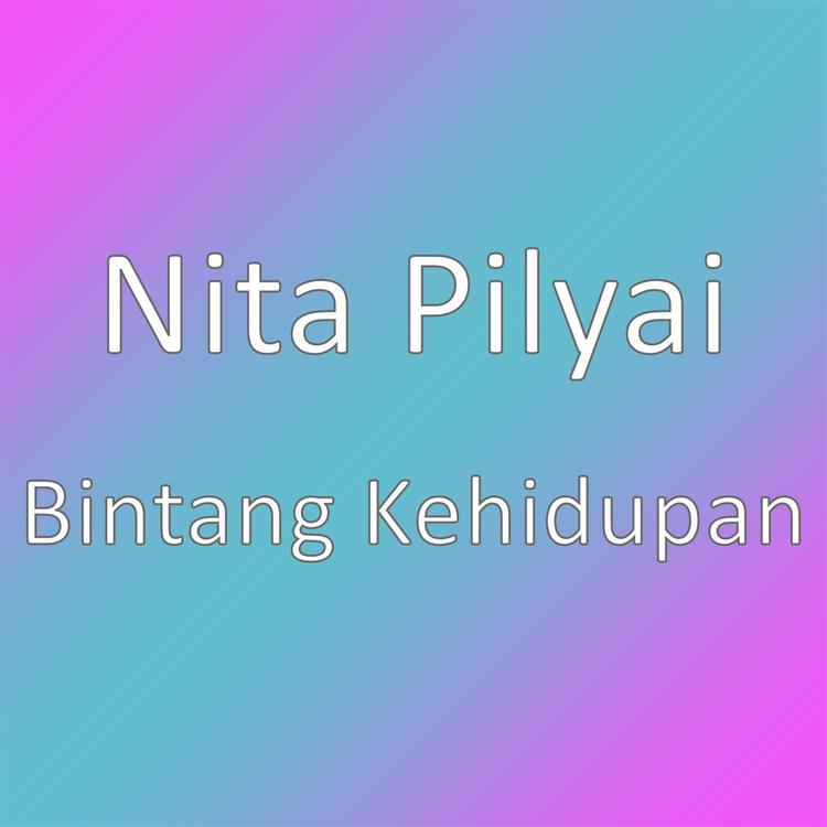 Nita Pilyai's avatar image
