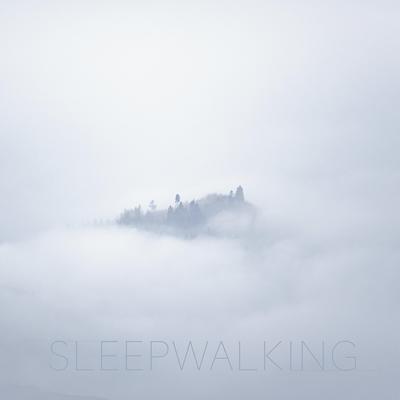 Sleepwalking By The Dream House's cover