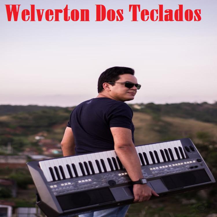 Welverton Dos Teclados's avatar image