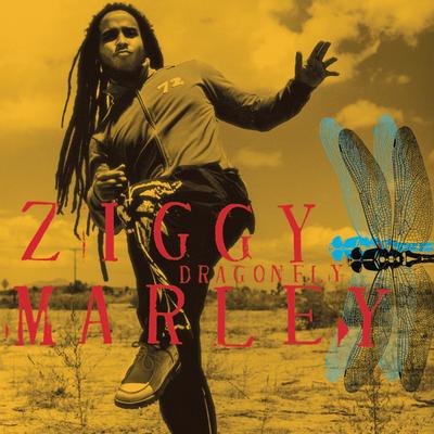 Dragonfly By Ziggy Marley's cover