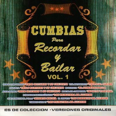 Cumbias para Recordar y Bailar's cover