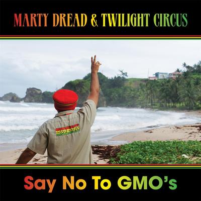 Say No to Gmo's's cover