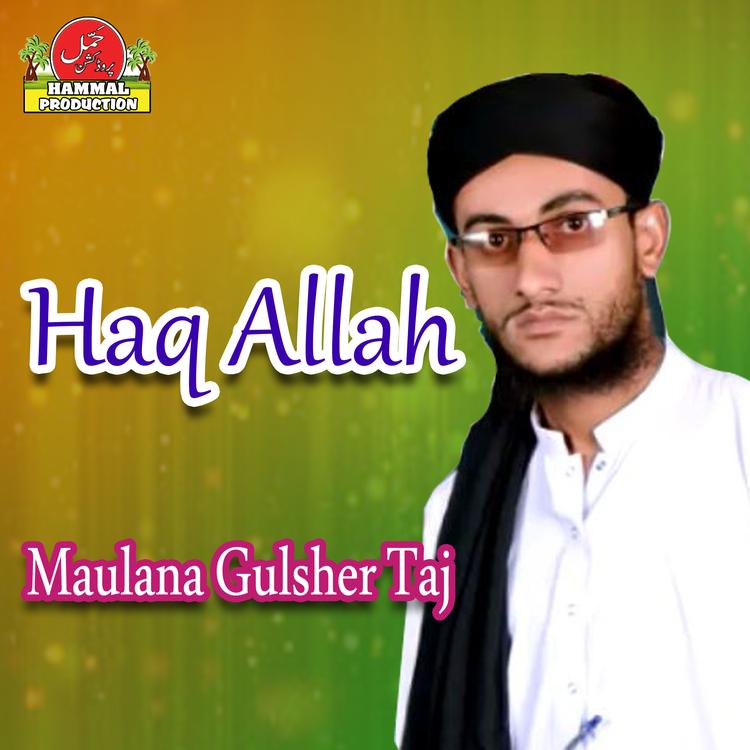 Maulana Gulsher Taj's avatar image