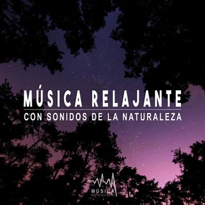 Lluvia Relajante Con Musica Ambiental, Pt. 10 By Música para Dormir Rápido's cover