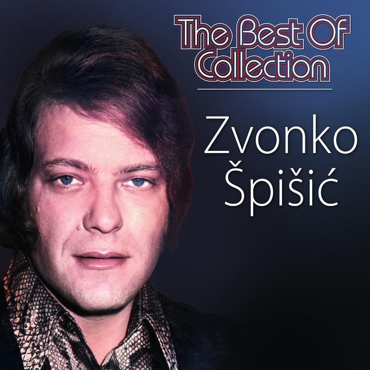 Zvonko Špišić's avatar image