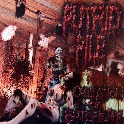 Merciless Homicide By Putrid Pile's cover