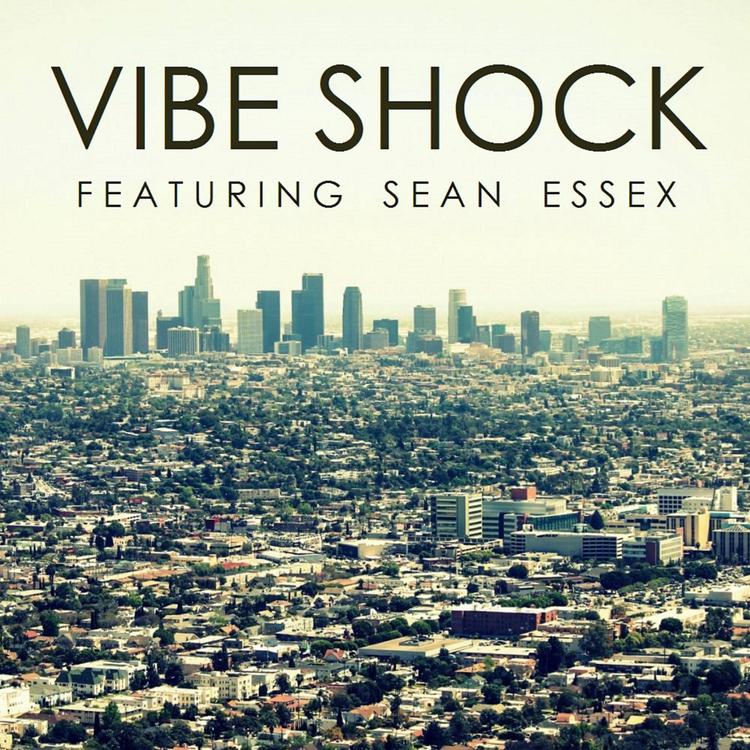 Vibe Shock's avatar image