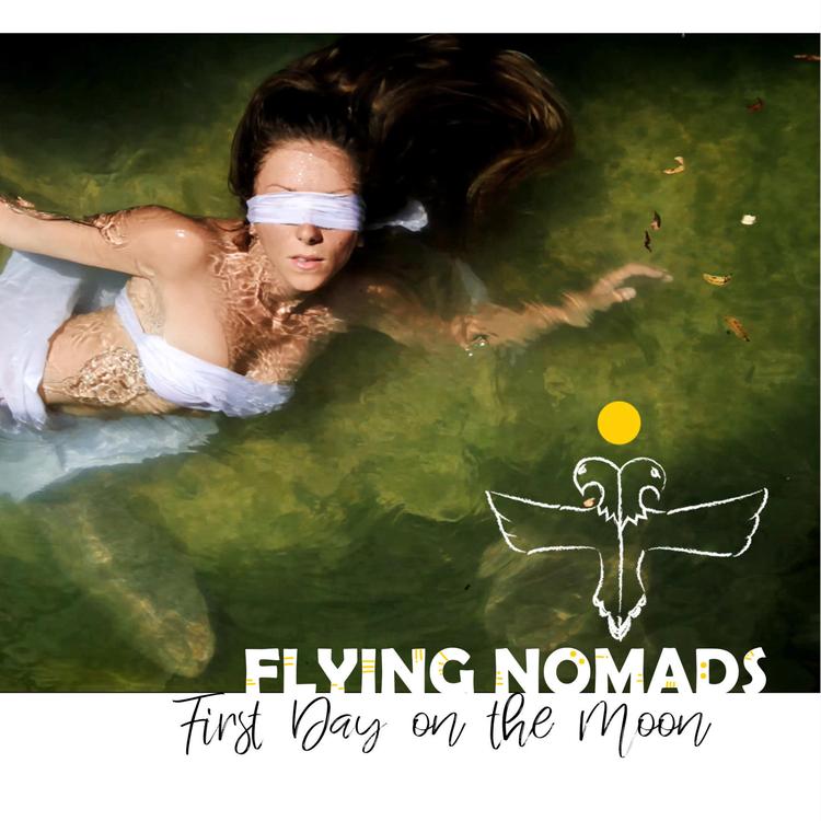 Flying Nomads's avatar image