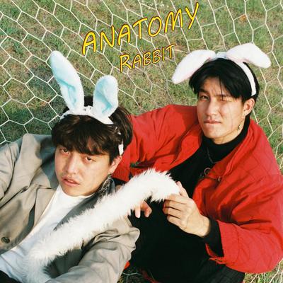 Anatomy Rabbit's cover