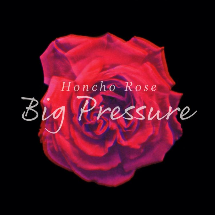 Honcho Rose's avatar image