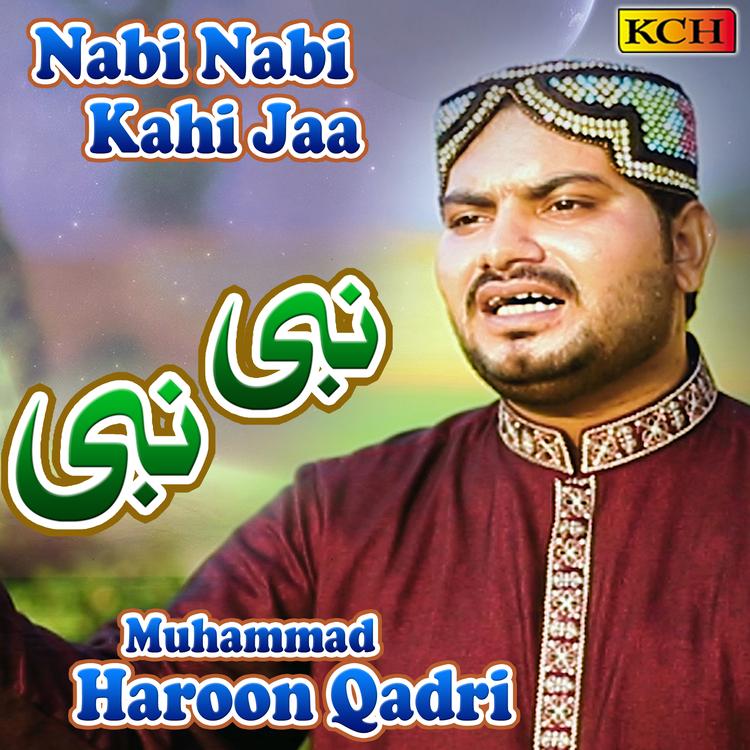 Muhammad Haroon Qadri's avatar image