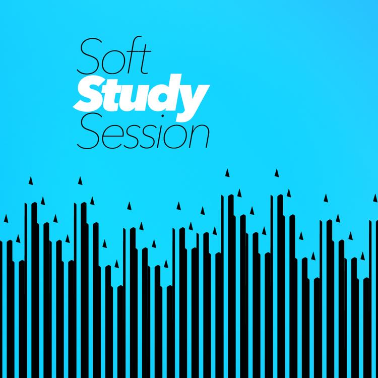 Soft Study Session's avatar image